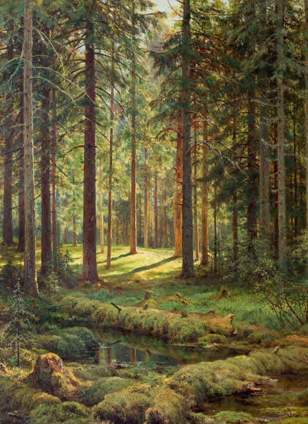 «Еловый лес» (1873)